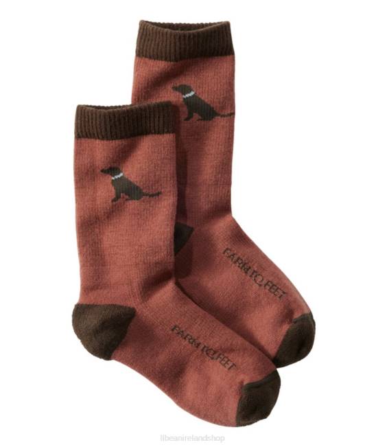 L.L.Bean Farm to Feet Sunderland Crew Socks Kids J46J4987 Footwear Chocolate Lab