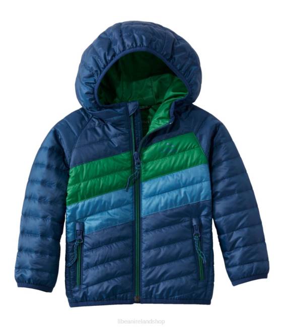 L.L.Bean Primaloft Hooded Jacket Kids J46J3694 Outerwear Collegiate Blue/Lawn Green