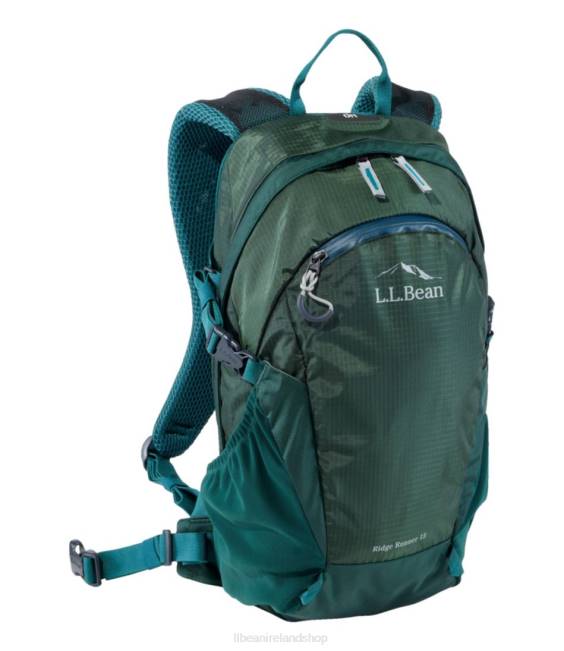 L.L.Bean Ridge Runner Day Pack 15L Unisex J46J3919 Outdoor Equipment Black Spruce/Deepest Pine