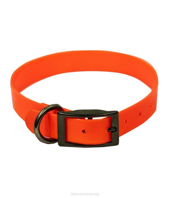 L.L.Bean Boyt Fireflex Dog Collar Unisex J46J4104 Outdoor Equipment Blaze Orange